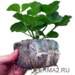 Таблетка кокосовая Jiffy Growblock, брикет, 80 мм